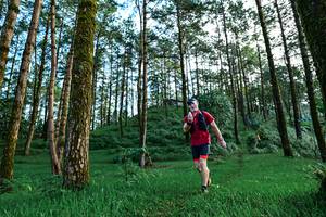 BIB: 
                            <button type="button" onclick="openModal(25020695)" class="btn btn-primary btn-sm float-right btn-popup" data-toggle="modal" data-target=".modal-high-quality">
                        <i class="fas fa-shopping-cart"></i> Add to Cart
                    </button>
                                            <button type="button" onclick="isThisMe(25020695, true)" class="btn btn-success btn-sm float-right btn-popup btn-isme hidden" data-toggle="tooltip" data-placement="bottom" title="นี่คือรูปของคุณใช่ไหม คลิกที่นี่เพื่อเอาเข้าอัลบั้ม">
                        <i class="fas fa-plus"></i> Add to album
                    </button>
                    <button type="button" onclick="isThisMe(25020695, false)" class="btn btn-warning btn-sm float-right btn-popup btn-isnotme hidden">
                        <i class="fas fa-ban"></i> Remove from album
                    </button>